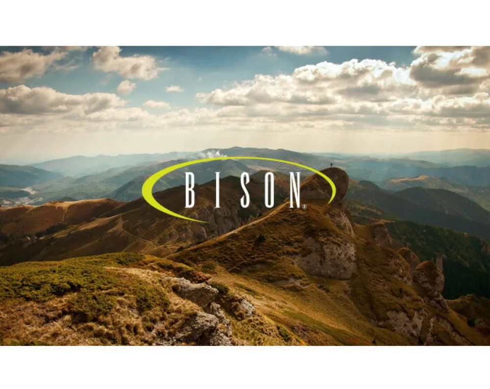 BISON Belts^/ Webbing Belt 30mm Plain Nylon Belt