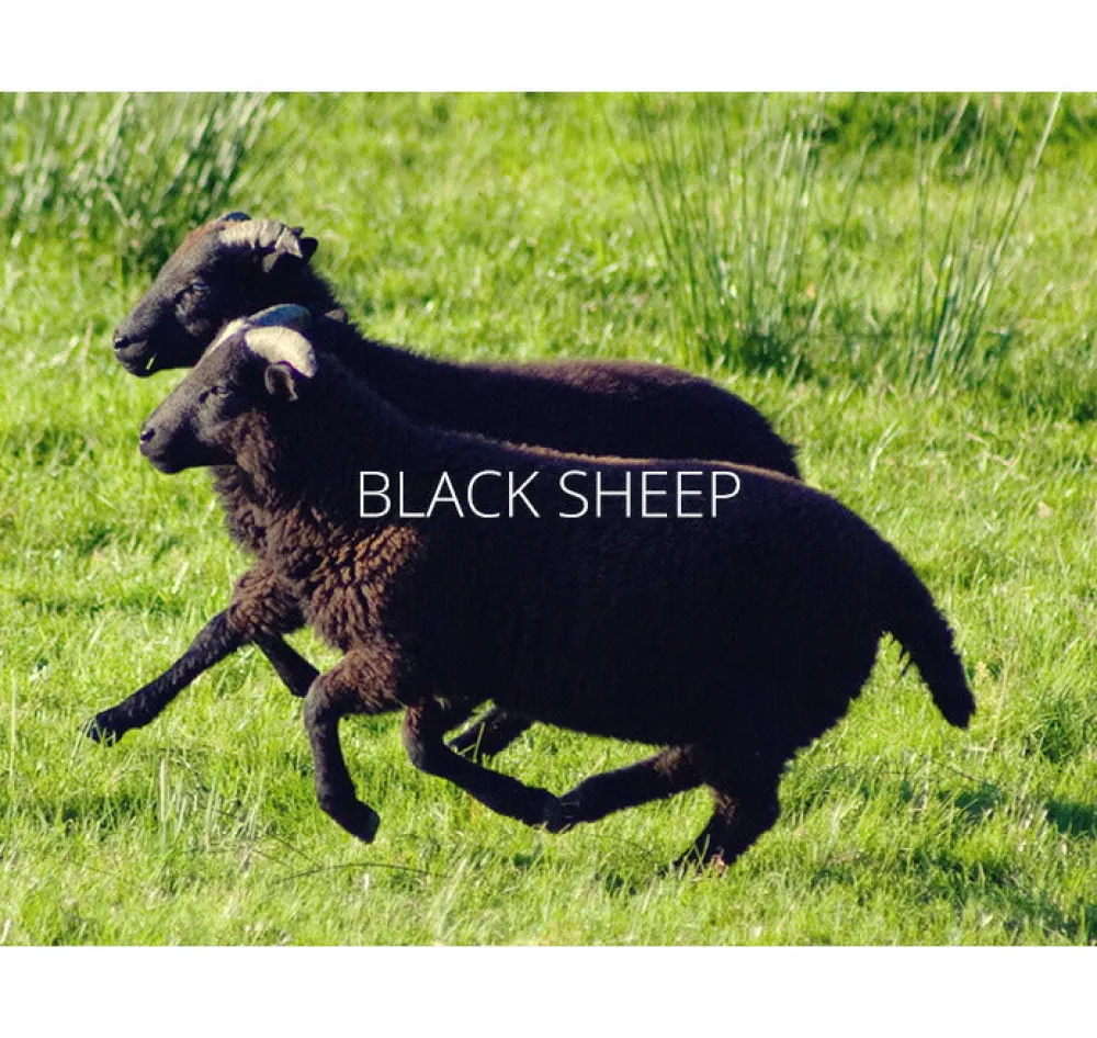 BLACK SHEEP Gloves^/ GL07 knitted glove