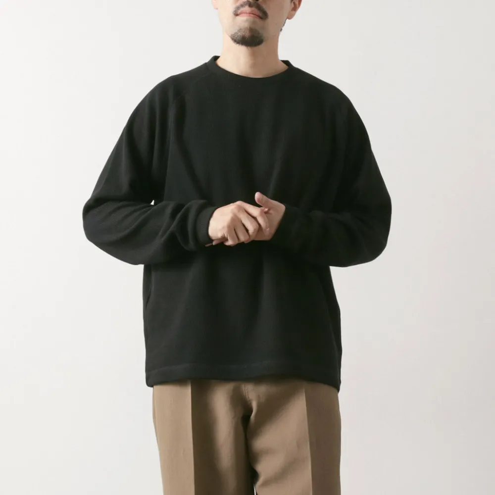 DESCENTE ALLTERRAIN81 Sweatshirts^/ Bomber Long Sleeve Crew
