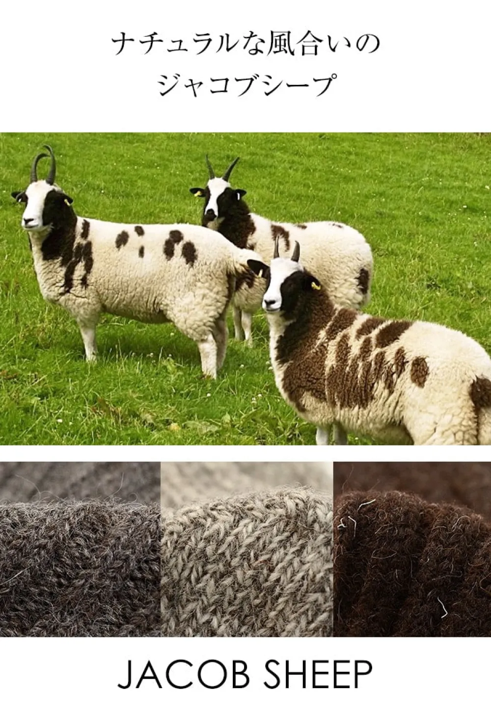 GRANGE CRAFT Socks^/ Jacob Sheep Wool Socks