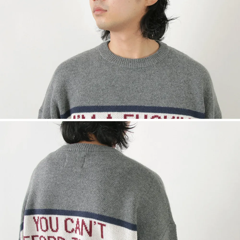 SON OF THE CHEESE Knits^/ IM FUCKING PROBLEM Crew Sweater gray