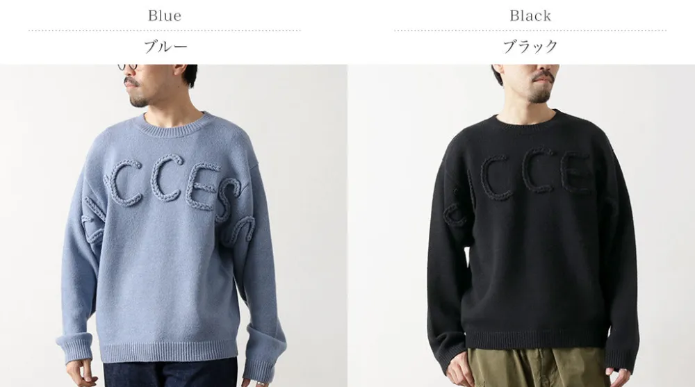 SON OF THE CHEESE Knits^/ Success Crew Neck Sweater